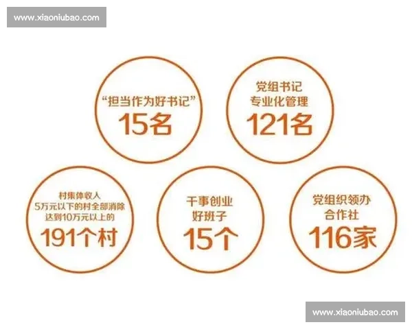 以规则制定为核心推动组织治理与制度优化的实践探索 以规则制定为核心推动组织治理与制度优化的实践探索