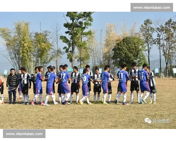 禁赛处罚的影响与反思:运动员权益、赛事公平性及体育道德的多重考量